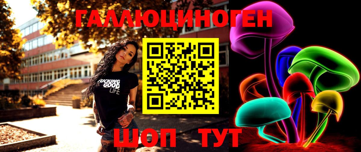 Псилоцибиновые грибы GOLDEN TEACHER Ессентуки